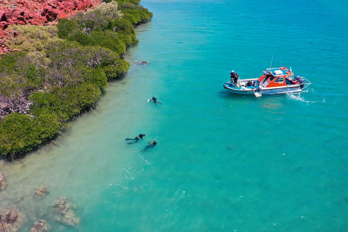 Aerial photograph of divers and a boat scanning a coastline in pristine blue waters.