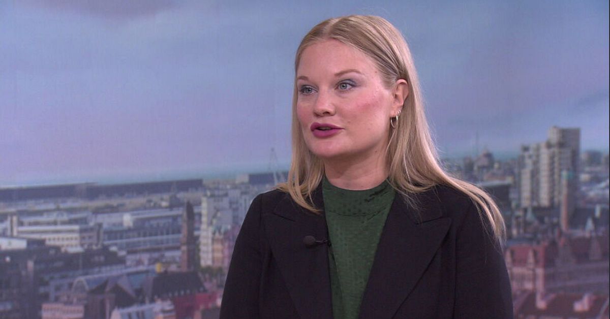 Partierna splittrade om statlig sjukvård