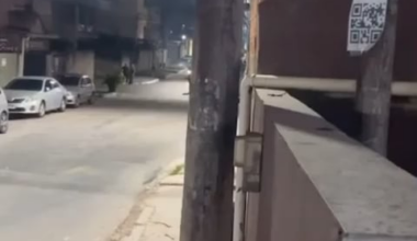 Average day in Poortugal