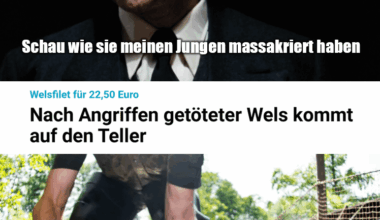 ich_iel
