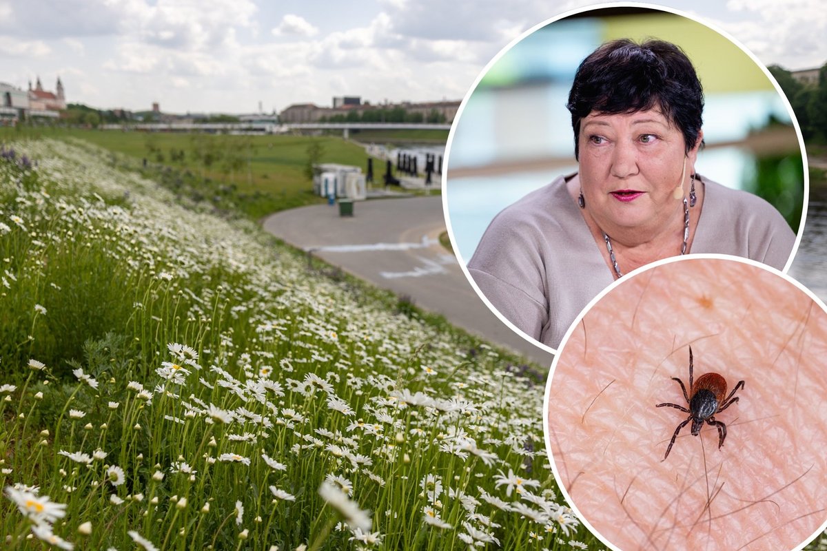 Lietuva – erkinio encefalito sostinė