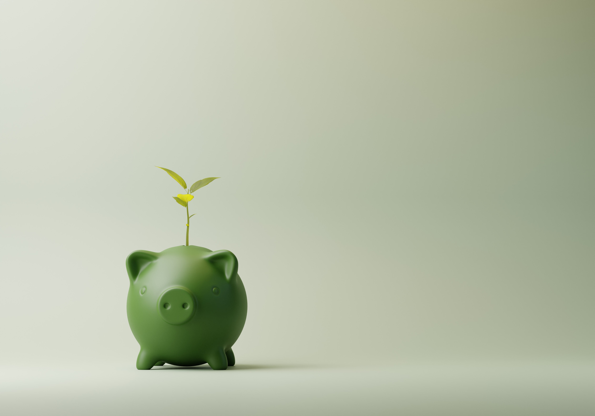 Plant growing out of green piggy bank