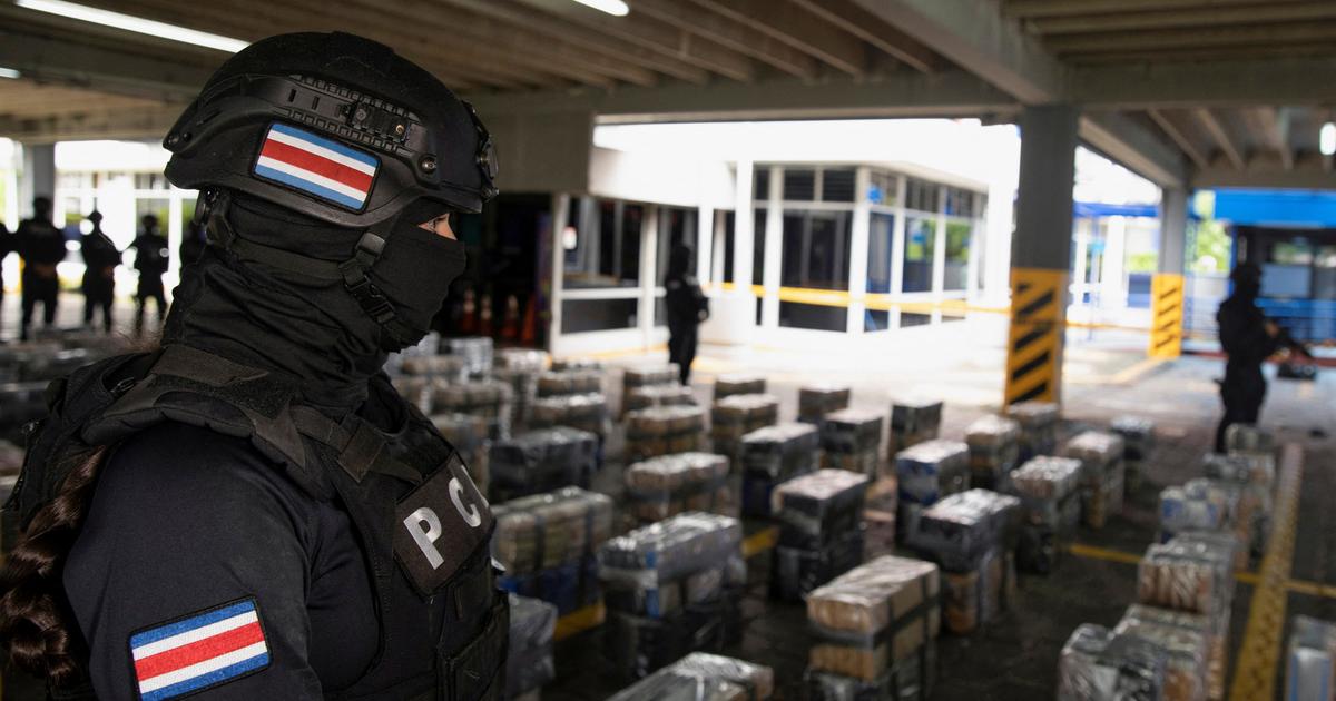 une tentaculaire route de la drogue démantelée