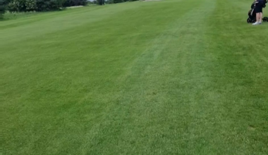 Alien spotted in Livingston Scotland near Dechmont