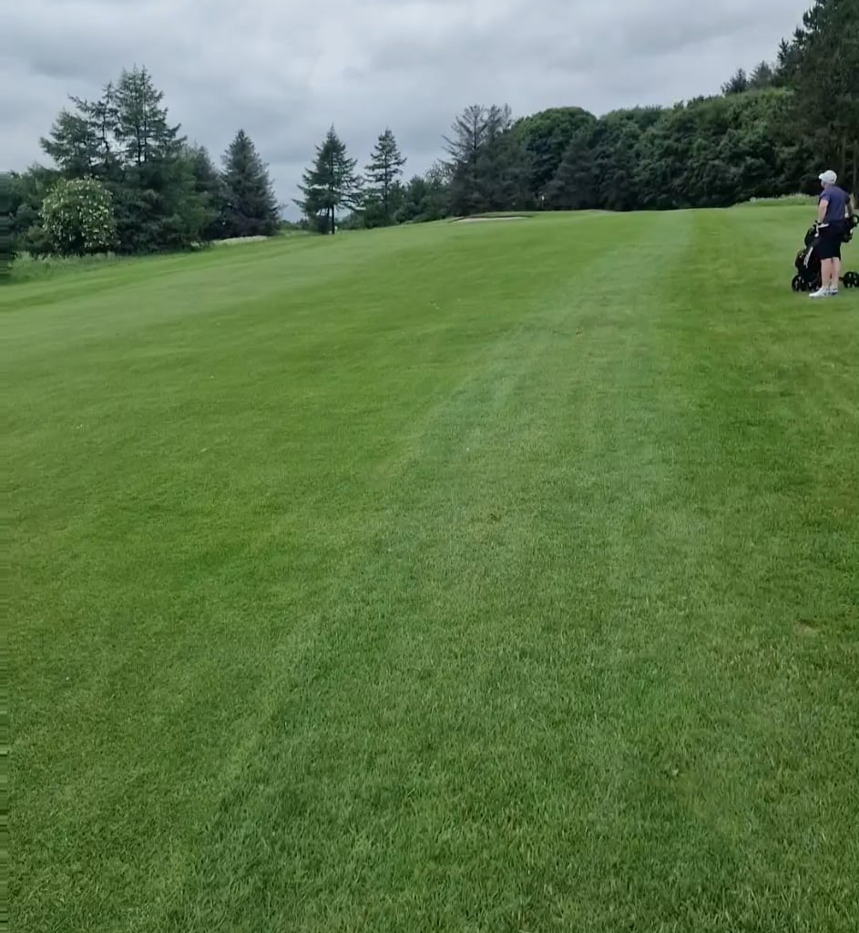Alien spotted in Livingston Scotland near Dechmont