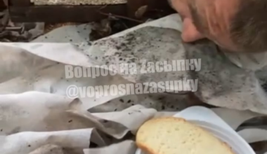 “You’ll go on the assault tomorrow and die there” — video showing abuse of a deserter in the Russian army