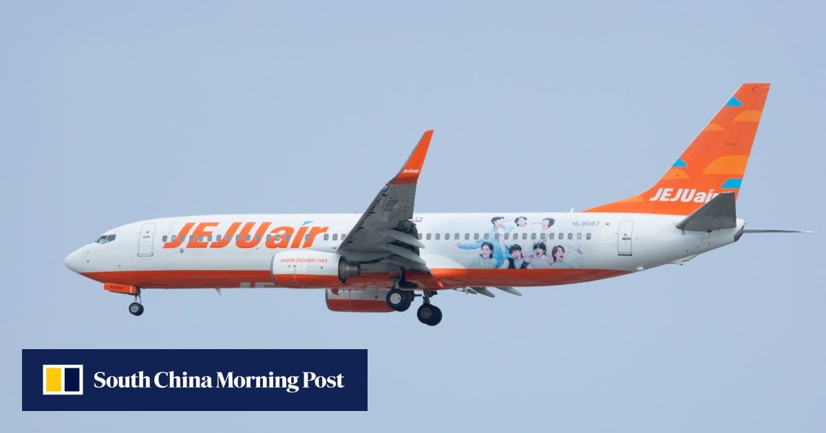 Baby dies aboard Philippines-South Korea flight after premature birth