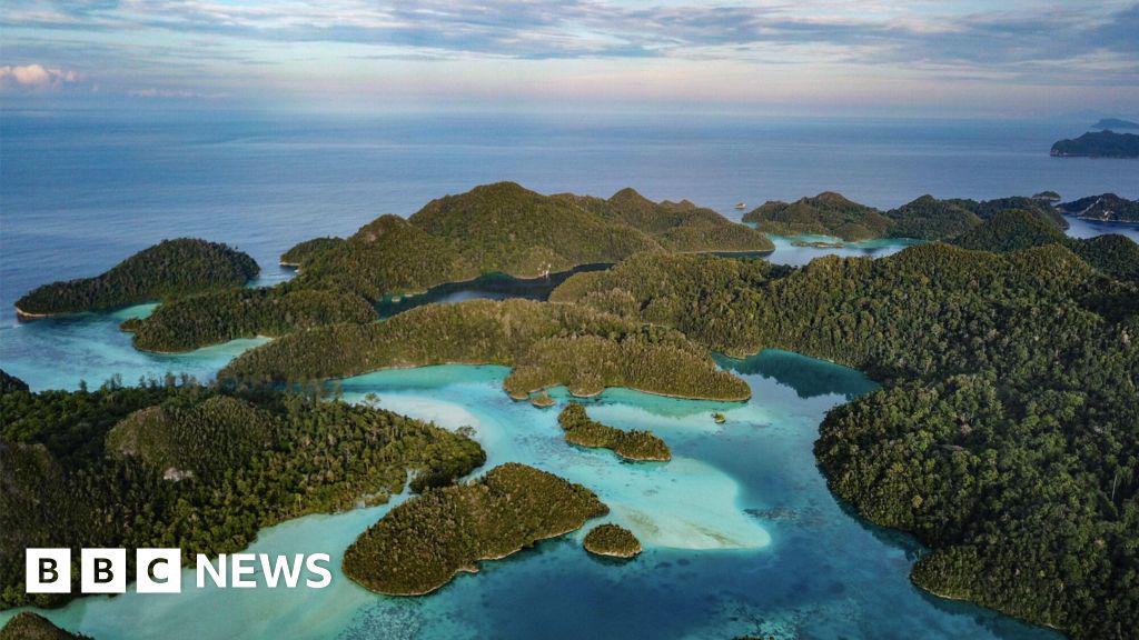 Race to mine metals for EV batteries threatens marine paradise. The Raja Ampat archipelago - a group of small islands in Indonesia's Southwest Papua Province - has been dubbed the "Amazon of the Seas".