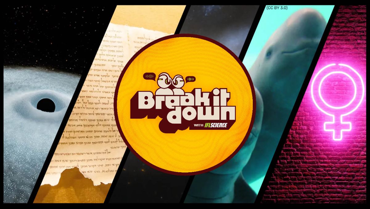 Space Explosions, Dead Sea Scrolls, And Why It's So Hard To Sex A Dino