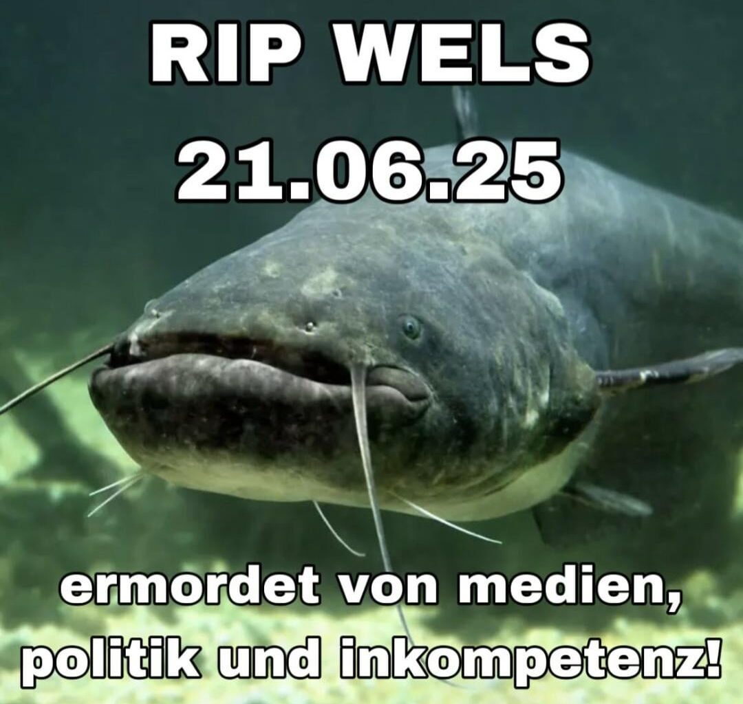 R.I.P Walter Wels III.