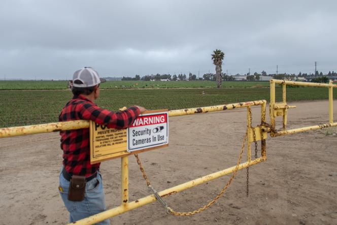 At the entrance to a strawberry field in Oxnard, California, on June 12, 2025, the gate remained closed to shield farm operations from ICE raids.