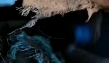 Ukrainian soldiers took out 6 Russian soldiers in a close combat battle - successfully defending their trench against a Russian assault. Zaporizhzhia front. [Published 27.06.2025]