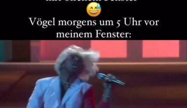 Ich_iel