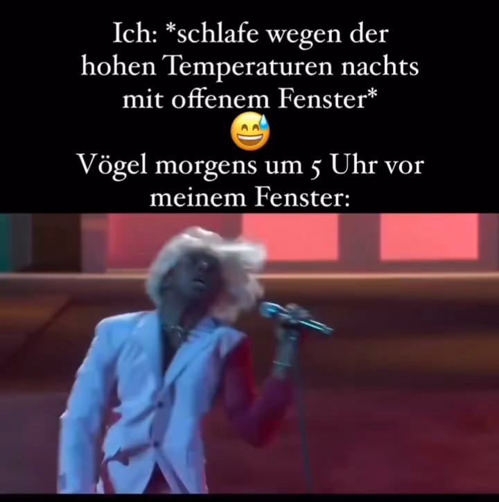 Ich_iel
