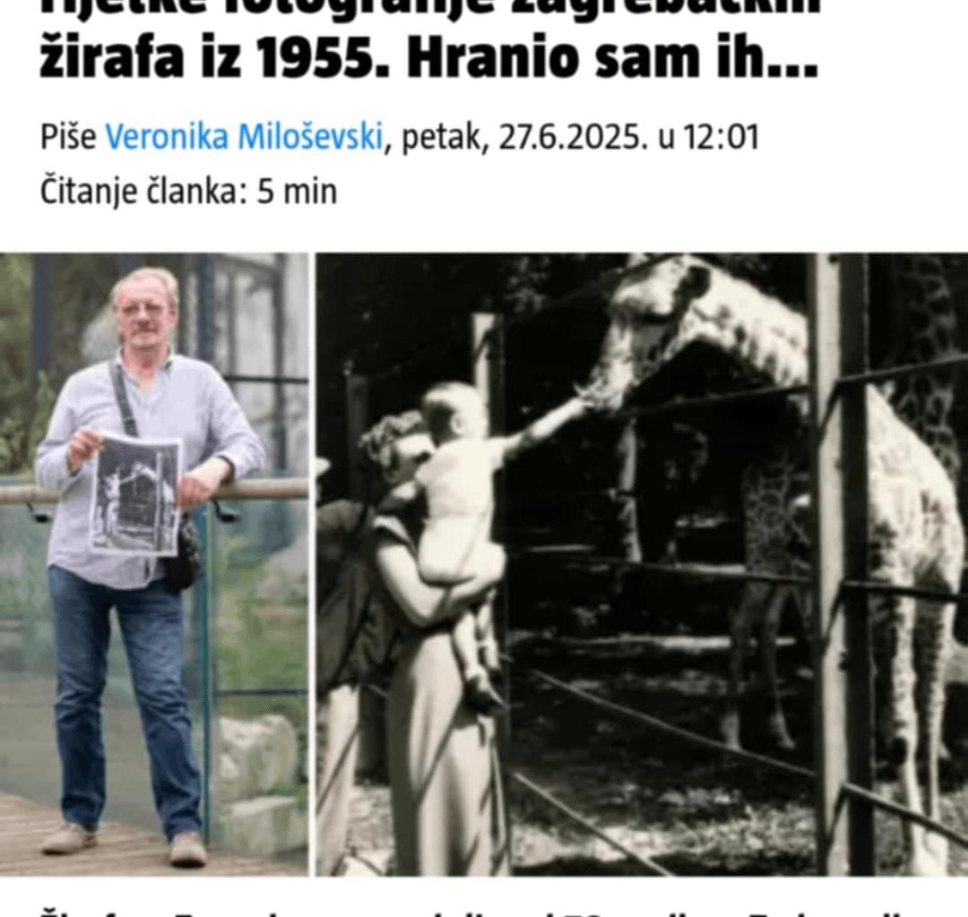 Ipak su bile žirafe u zagrebačkom ZOO