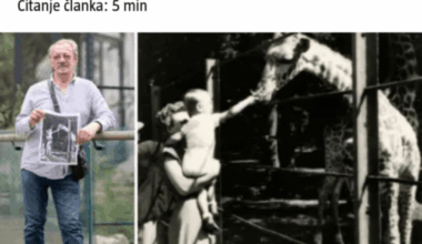 Ipak su bile žirafe u zagrebačkom ZOO