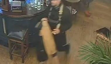 Philharmonia Orchestra player’s £150,000 violin stolen from London pub