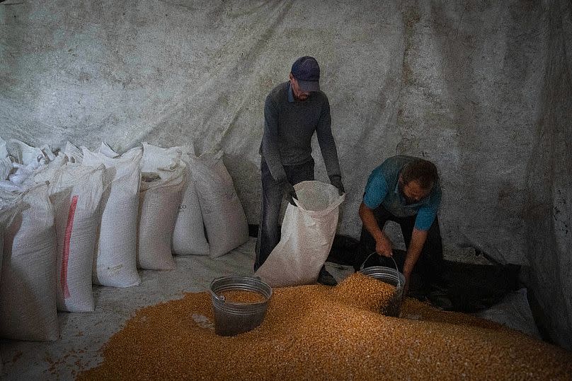 Workers put corn seeds into bags at a granary mill in the town of Sataniv in the Khmelnytskiy region of Ukraine.