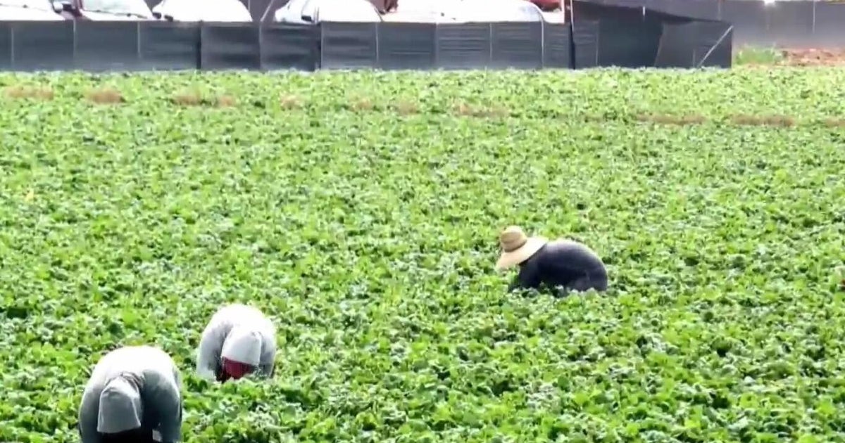 Mass deportations could cost California's economy $275 billion, report says