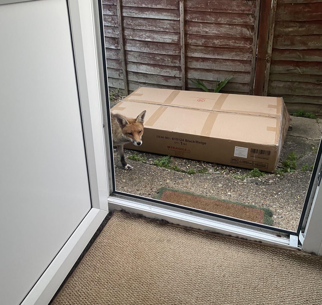 i can’t even open the back door to air the house