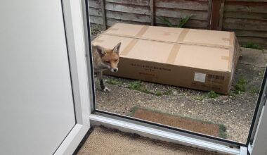 i can’t even open the back door to air the house