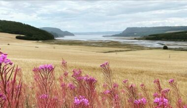 Scotland is beautiful! 🇩🇪❤️🏴󠁧󠁢󠁳󠁣󠁴󠁿