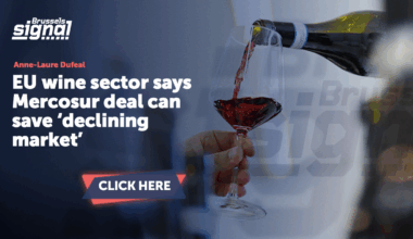 EU wine sector says Mercosur deal can save ‘declining market’
