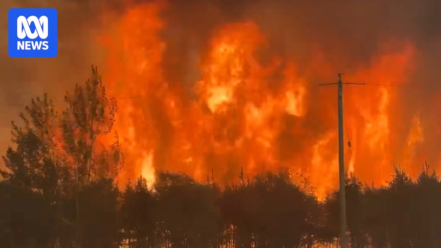Thousands evacuate wildfires burning across central Canada