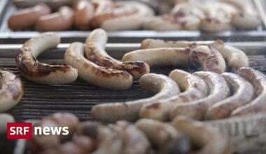 Meat contaminated with PFAS - Ständerat wants to soften sales ban - expert warns
