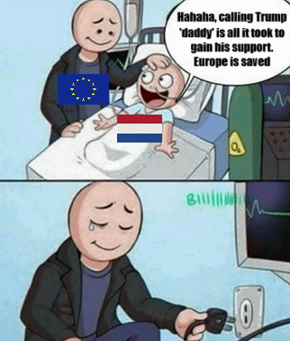 Unironically tho, if it helps, why should we let pride get in our way (and we can blame it all on the Netherlands)