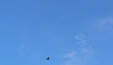 Finally managed to capture one.