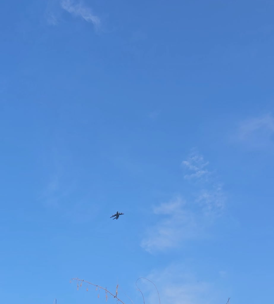 Finally managed to capture one.