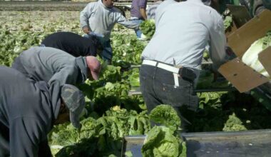 Over 30 farmworkers detained by ICE in Ventura County – NBC Los Angeles