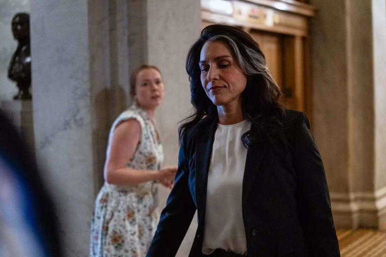 Tulsi Gabbard, Missing in Action