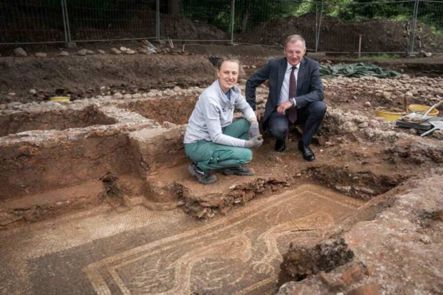 dolphin-mosaic-ancient-rome-austria-excavation