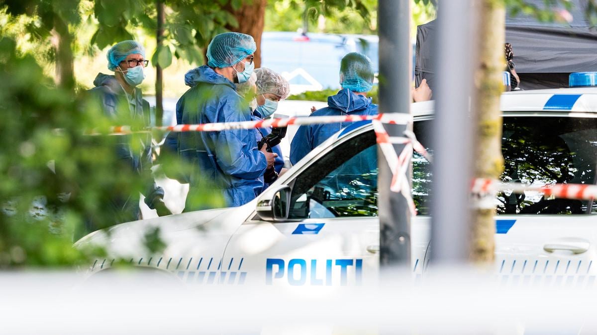 Seks kvinder dræbt i juni - ny aftale sætter mere fokus på særlig fodlænke