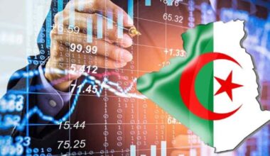IMF: Algeria Rises to Become Africa’s Third Largest Economy in 2025