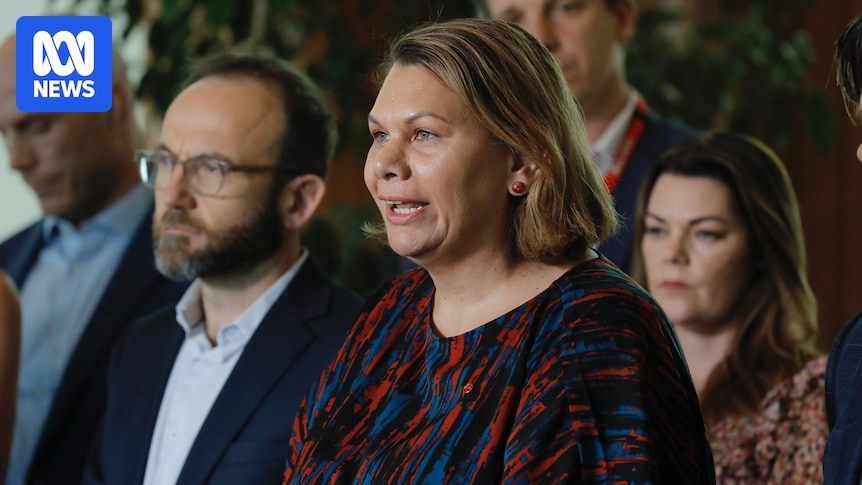 Dorinda Cox accuses Greens of racism in scathing resignation letter