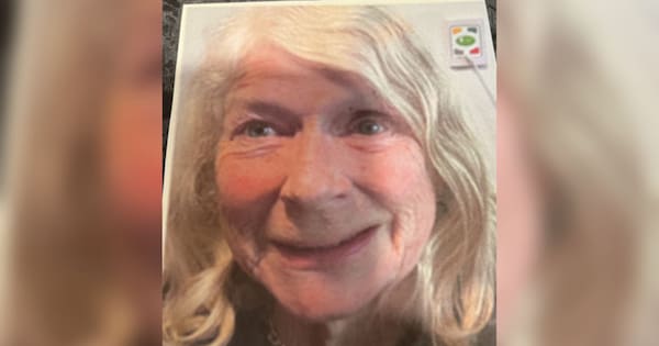 Body found in search for missing woman Elisabeth 'Lis' Nicholls