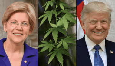 Elizabeth Warren Pushes Trump To End Federal Marijuana Criminalization After Elon Musk's 'Failures' To Stop Wasteful Spending With DOGE