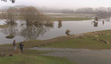 'Millions of dollars' of flood damage in Nelson-Tasman region revealed