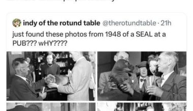 Back when we had proper culture