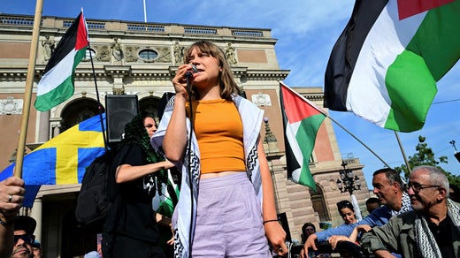 Aktivisten Greta Thunberg talar i samband med en demonstration för Gaza arrangerad av Palestinska Arbetsgruppen i Stockholm på lördagen.