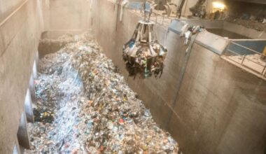 Österreich recycelt laut Global Waste Index 2025 mehr Müll