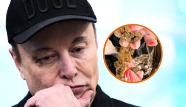 U.S. Institute of Peace defeats DOGE and retakes HQ, finds secret weed dump