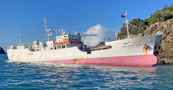 Poor seamanship, lack of proper charts led to Hauraki Gulf grounding