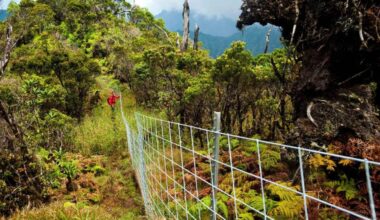 Kaua’i conservation leaders hope Hawaiʻi’s new Green Fee will prioritize environmental initiatives, not tourism : Kauai Now
