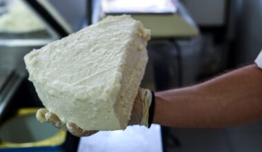 Ποιοι κυριαρχούν στην αγορά τυροκομικών στην Ελλάδα