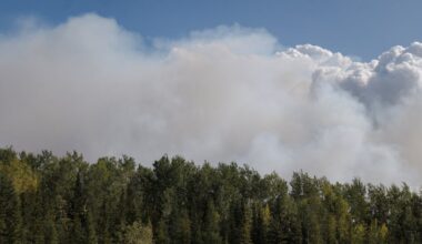 How high-latitude peat and forest fires could shape the future of Earth’s climate