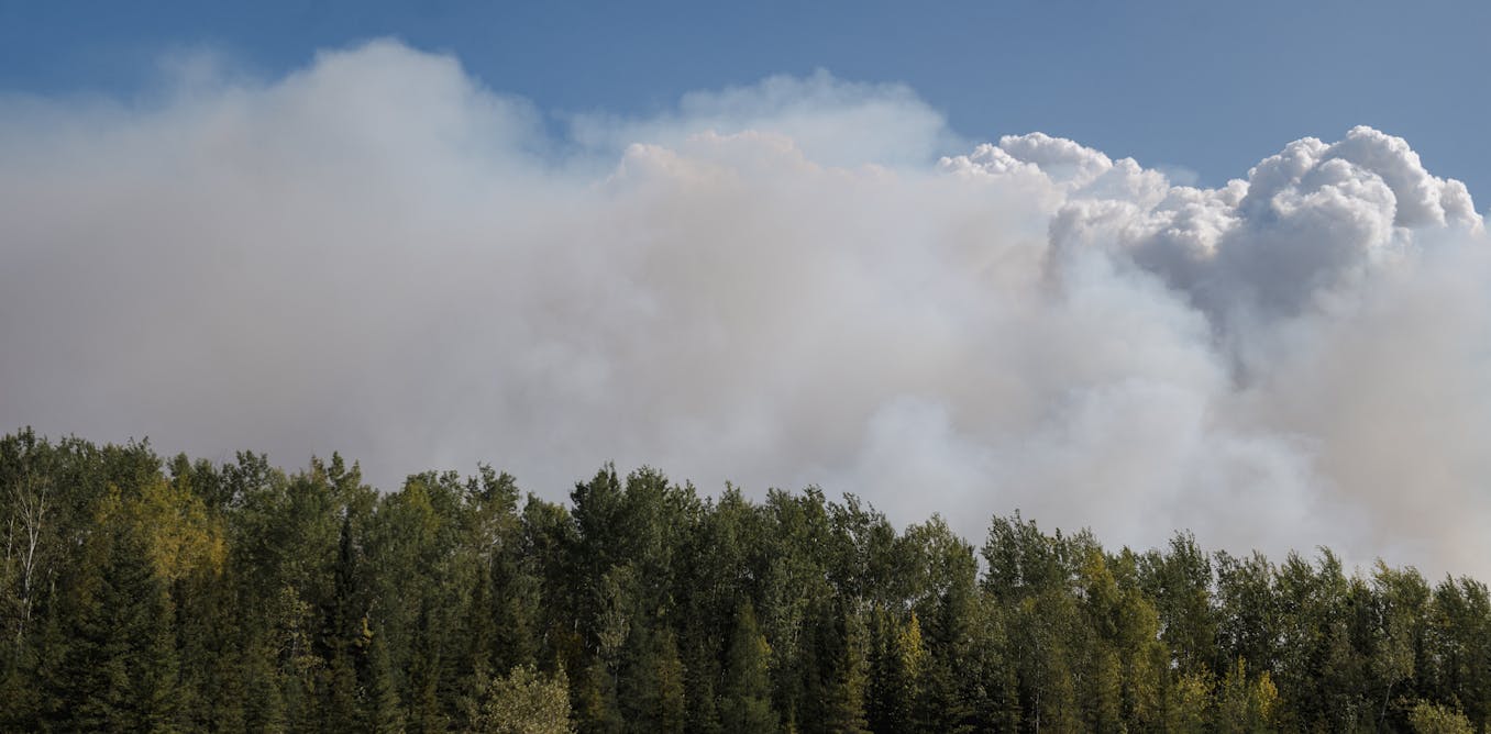 How high-latitude peat and forest fires could shape the future of Earth’s climate